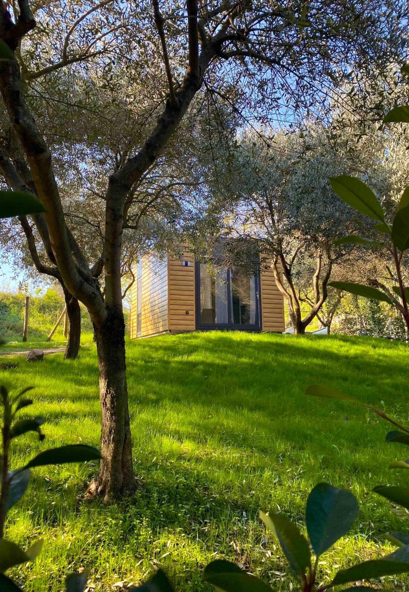 Seregner Agricamping & Homes - Adults Only 18 مونزامبانو المظهر الخارجي الصورة